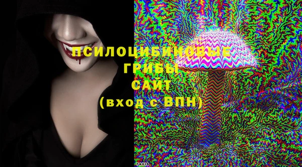 ПСИЛОЦИБИНОВЫЕ ГРИБЫ Баксан