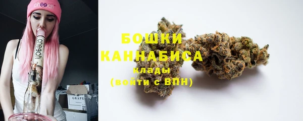 ПСИЛОЦИБИНОВЫЕ ГРИБЫ Баксан