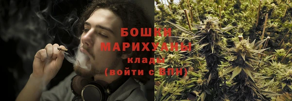 прущие крисы Арсеньев