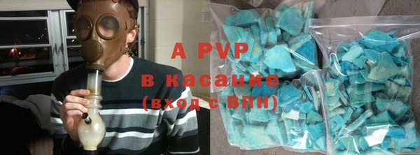 ПСИЛОЦИБИНОВЫЕ ГРИБЫ Баксан