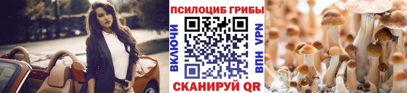 сайты даркнета официальный сайт  где продают наркотики  Калининец  Галлюциногенные грибы мухоморы 